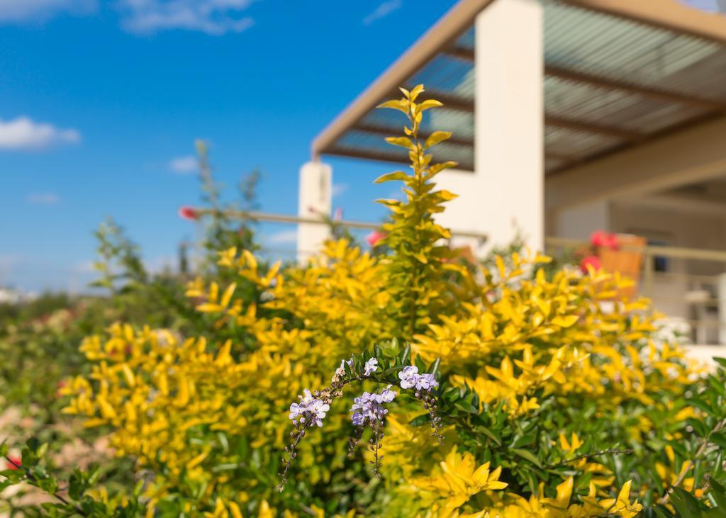 Legrena Beach Villa Sounion Exterior photo